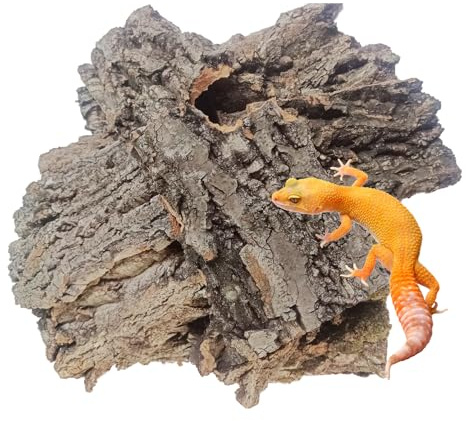 MUYG Reptiles Cork Bark Bits Substrate,1 LB Terrarium Bark Bedding Bulk for Geckos Snake Isopods Bearded Dragon Spiders Lizard Tarantula Hermit Crabs
