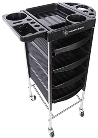 Friseur Schönheits Speicher Trolley