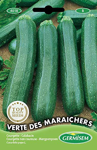 Germisem Verte Des Maraîchers Semi di Zucchine 3 g
