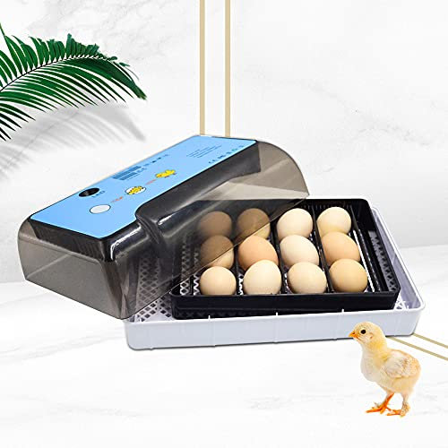 12 Eier Mini Digital Inkubator Ei Vollautomatischer Inkubatoren Brutmaschine Hühnereier mit LED Geflügel Inkubator Temperatur und Luftfeuchtigkeit für Hühner, Enten, Vögel