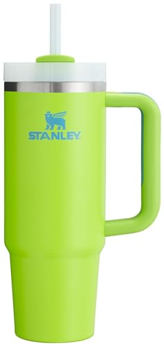 Stanley Quencher H2.0 FlowState Vaso aislado al vacío de acero inoxidable con tapa y cañita para agua, té helado, café, batidos y más, Lima brillante, 0,9 l