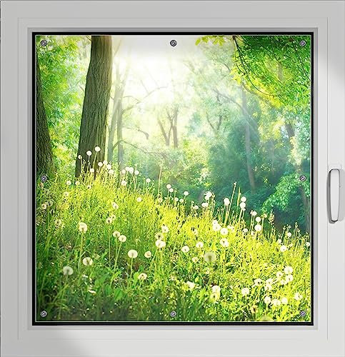 Wallario Lichtschutzbild, Dekorativer Sichtschutz Sonnenschutz 96 x 93 cm mit Motiv: Pusteblumen im Wald mit einfallenden Sonnenstrahlen - Verdunklungsrollo ohne Bohren