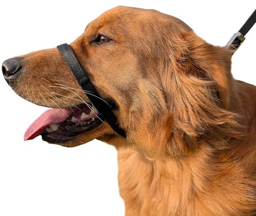 PetsProMax No-Pull Dog Headcollar for Large Dogs (Agressive/Reactive Dogs; Instant Stop Pulling; Gentle Training Collar for Dogs; Comfortable, Safe, and Effective Walking/Training Solution (Black, L)