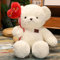 LfrAnk Cartoon Teddybär Puppe Tier Plüschtier weiche Puppe Mädchen Geburtstagsgeschenk 75cm 1