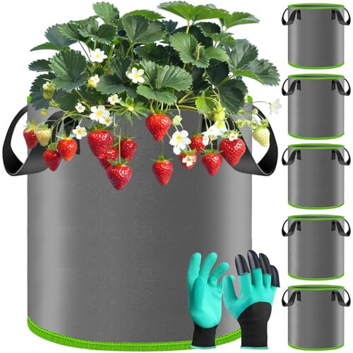 BBLTIFF Pflanzsack, 5X 30L Stofftöpfe mit Griffe und 1 Paar Handschuhe, Pflanzensack aus Vliesstoff, Kartoffel Pflanzsack, Pflanztaschen, Tomaten Kübel für Den Anbau von Tomaten, Blumen, Pflanzensamen