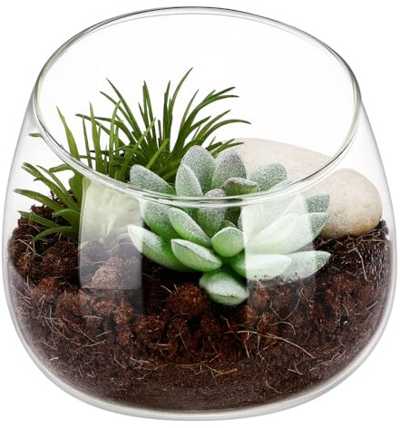 DEARMAMY Maceta de Vidrio Boca Inclinada para Musgo y Suculentas, Maceta Pequeña para Plantas de Interior, Adecuado como Centro de Mesa Hogar