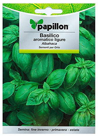 SEMENTI SEMI BASILICO AROMATICO LIGURE