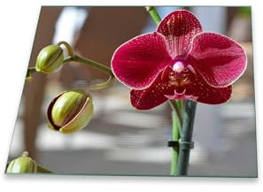 decorwelt | Herdabdeckplatte 60x52 cm Ceranfeld 1-Teilig Universal Elektroherd Induktion für Kochplatten Herdschutz Deko Schneidebrett Sicherheitsglas Spritzschutz Glas Orchidee Rot Blumen