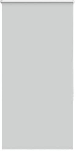 Rollo Verdunkelungsrollo Hellgrau 80x175 cm Stoffbreite 75,7 cm Polyester