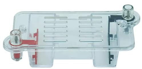 Electroforesis Dispositivo de enseñanza de laboratorio biológico para experimentos de separación de gel Laboratorio Escolar Electroforesis Dispositivo De Plástico