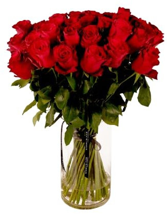 Bouquet de Rosas Color Rojo Flores Frescas con 25 Flores para Regalar en Cualquier Ocasión Rosas Rojas Naturales