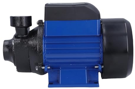 Vvikizy Pompe Solaire Submersible Pompe de Jardin Silencieuse et Efficace pour L'irrigation et le Transfert D'eau de Puits Solaire pour la Maison et L'
