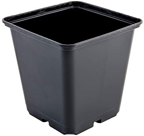 Greenvass 5 x Maceta para Cultivo hidropónico Cuadrada, 13 x 13 x 13 cm. 5 Unidades.