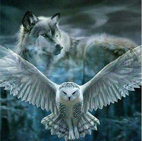 Stickset Stickbilder Kreuzstich Vorgedruckt-Adler und Wolf-40X50Cm Sticken Stickerei stickgarn Neujahrs Home Decor Kreativität Geschenke (11CT Vorgedruckte Leinwand)