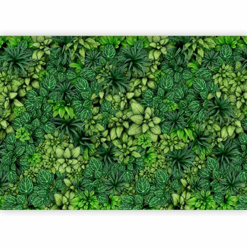 murando - Carta da Parati Adesiva Impianti 343x256 cm Fotomurali Adesivi Murali Rivestimento Parete Moderna per Pareti Adesiva Muro Decorativo Fotomurale Natura Botanica Fogliame tropicale