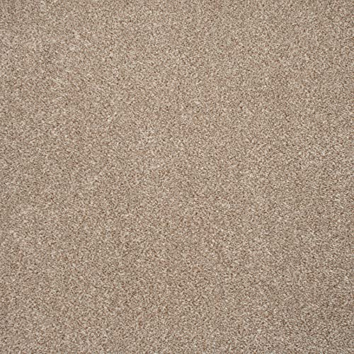 247Floors Stain Resistant Twist Carpet 8mm Thick Felt Backed Hard Wearing Pile Living Room Hall (Beige - 4m x 3.5m)