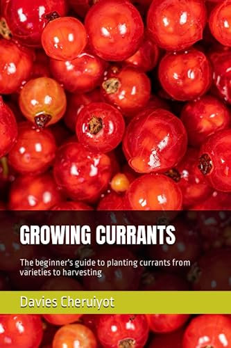 GROWING CURRANTS: The beginner's guide to planting currants from varieties to harvesting (Berries farming)