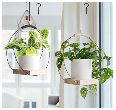 2 colgantes colgantes para interior - colgante colgante de metal negro, con base de madera, maceta colgante para plantas de interior, plantas suculentas de aire cactus