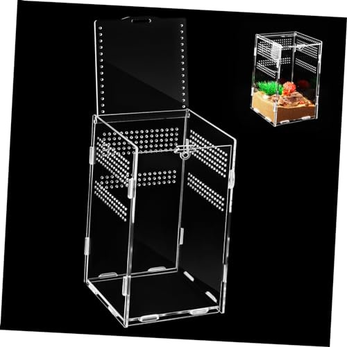 BELLIFFY Reptilien Futterbox Stabiles Terrarium für Spinnen Insekten Eidechsen Vielseitig Nutzbar Leicht Kompakt für Zucht Beobachtung Transport