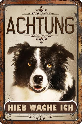 30 x 20 cm wetterfestes Blechschild, Warnhinweis, Torschild, Achtung, hier Wache ich! Warnung vor dem Hund (Border Collie)