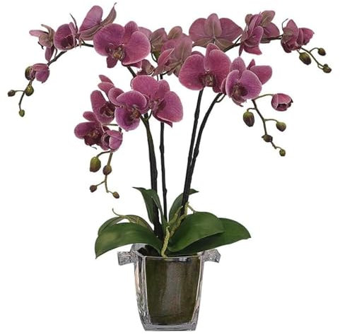 HPTHLY Orchidea Artificiale Orchidea Artificiale 23,6 Pollici Fiori Artificiali Phalaenopsis con Vaso Trasparente in Vetro Fiori Artificiali Decorazioni per La Casa Fiori Finti Molto Nat