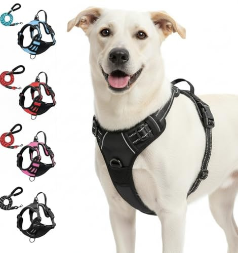 Anti-Zieh-Geschirr, Anti-Pull Dog Harness with Chest Clip Front and Back Clip, Anti-Zieh Hundegeschirr mit Step-in Design, Atmungsaktiv & Gepolstert, Für Hunde jeder Größe (Schwarz, S)