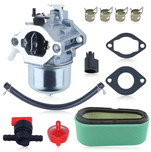 Haishine Carburateur pour 799728 498027 499161 498231 494502 494392 495706 498134 pour Walbro Coleman Craftsman pour Tondeuse à Gazon Tracteur Petit Moteur à Gaz à 4 Temps