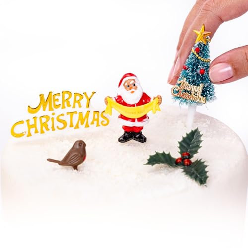 Christmas Cake Decorations Toppers 5 Piece Set - 3D Santa, Robin, Christmas Tree, Holly & Merry Christmas Sign - Non-Edible Reusable Cupcake Topper