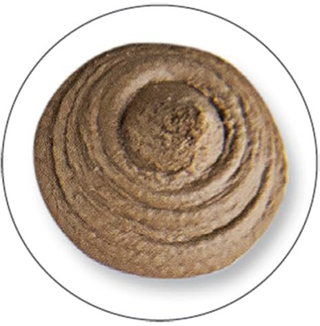 ECOSEAL 500 ein-komponentiger elastischer Holzkitt und Fugenfüller 600ml - Eiche hell 51