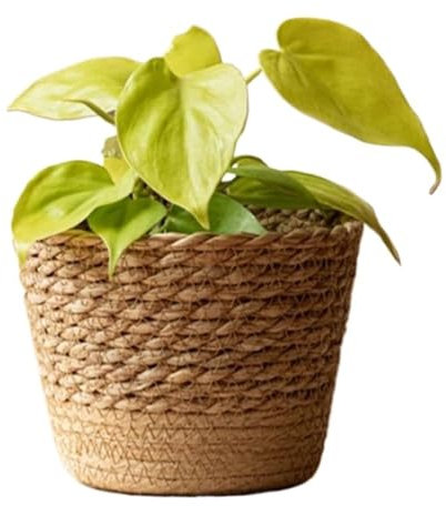 AHIOJEGX Macetero Mimbre 4 Uds. Maceta Tejida de Paja for Flores, Cesta de Mimbre, Cesta de Almacenamiento for Maceta de Mimbre, Maceta for jardín, Cesta for Maceta Tejida Hecha a Mano(M)