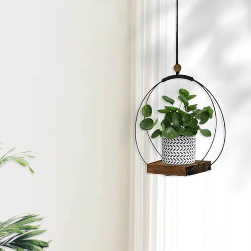 Pot à Suspendre en Métal Noir avec Base en Bois - Suspension au Plafond pour Plantes d'Intérieur, Grasses, Aériennes et Cactus (1 Pièce)