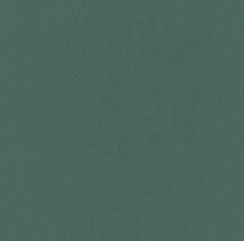 Rasch Carta da parati 710458 – Carta da parati liscia in tessuto non tessuto con effetto tessile in verde scuro dalla collezione Sophia – 10,05 m x 0,53 m (lunghezza x larghezza)
