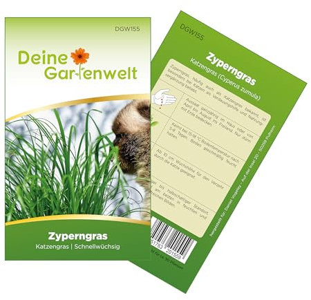 Zyperngras Katzengras Samen - Cyperus zumula - Zyperngrassamen - Katzengrassamen - Saatgut für 90 Pflanzen