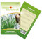 Zyperngras Katzengras Samen - Cyperus zumula - Zyperngrassamen - Katzengrassamen - Saatgut für 90 Pflanzen
