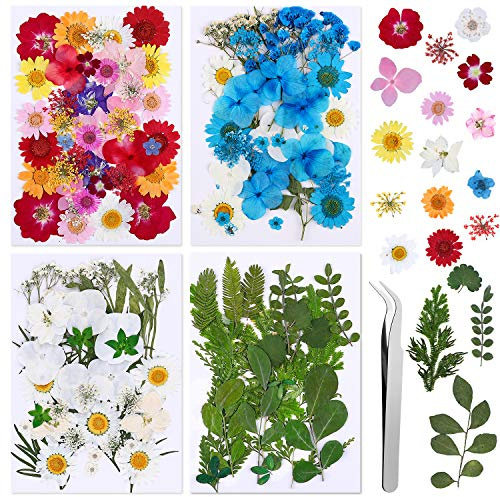 134 pièces Vraies Fleurs Pressées Séchées, Florales Naturelles Feuille de Fleurs Pressées pour Bricolage Résine Bijoux Faisant Floraux Nail Art Autocollants Maquillage Fabrication Artisanat