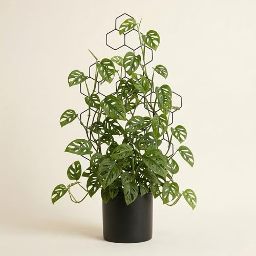 LEAFLO Beehave Rankhilfe für Zimmerpflanzen groß 100 cm | Metall - Pflanzenstütze - Rankgitter - Blumengitter | Innenraum Dekoration | Für Pflanzenliebhaber