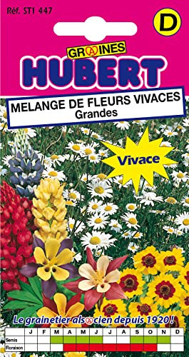 Mélange de Graines de Fleurs Vivaces Grandes - 1 gramme