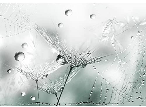 Runa Art Fototapete Blumen Pusteblume 352 x 250 cm Vlies Tapeten XXL Moderne Wandtapete Wohnzimmer Schlafzimmer Türkis 9557011c