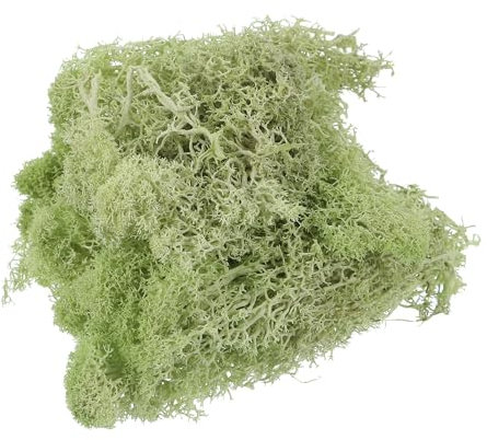 sourcing map 0.35 OZ Moss Fake Craft Moss Artificial Moss Natural Preserved Moss for Craft Arts Floral DIY Project Wall Wedding Garden Patio Table Terrariums Decoration(Chartreuse)