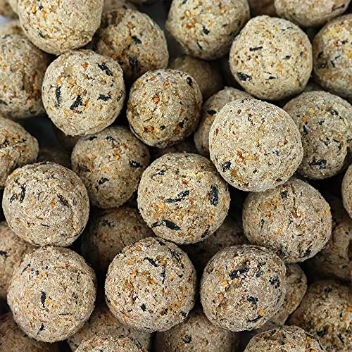 SQUAWK Bolas de Grasa de sebo | Comida Premium para Aves Silvestres | Fórmula Mejorada Durante Todo el año | Mezcla Natural, Alta en energía y Rica en proteínas | Llena de Grasa, Fibra (Paquete 50)