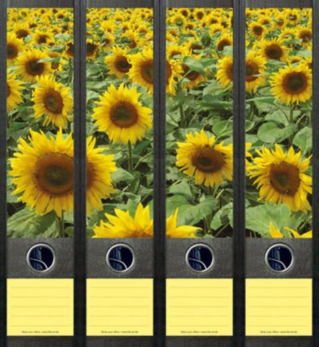 4er Set Ordnerrücken für breite Ordner Sonnenblume Blume Blumen Aufkleber Etiketten Deko 079