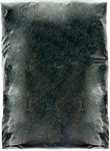 SQUAWK Graines de Tournesol Noires pour Oiseaux - Nourriture fraîche et énergisante pour Oiseaux Sauvages - Abri pour Oiseaux d'extérieur de qualité supérieure (15 kg)