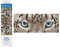 DIAMOND DOTZ DD5.043 - Original 5D Diamond Painting Set Schneeleopard Augen, Kreativset mit 8.906 Diamant Mosaiksteinen, Malset ca. 42 x 18 cm, DIY Komplettset für Erwachsene und Kinder ab 8 Jahren