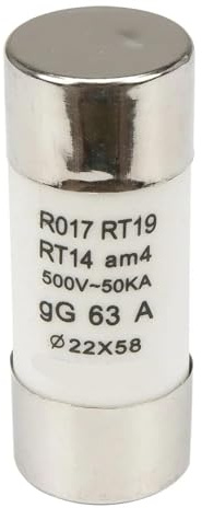 Lot de 5 fusibles tubulaires en céramique R017 500 V 22 x 58 mm - Courant nominal 63 A, 80 A, 100 A, 125 A - Fusibles à lames fiables(125A)