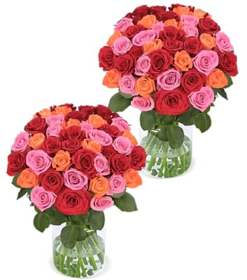 Blume Ideal Rosensträuße | 2x50 Rosen Rosenbeet (insg. 100 Stiele) | Ø 40–50 cm | Premium Rosen für Hochzeit & Deko | 7 Tage Frischegarantie | In verschiedenen Farben und Mengen