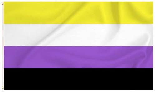 Storm&Lighthouse Bandera no binaria LGBTQ Banderas del orgullo gay de 5 x 3 pies con ojales de metal, decoraciones de orgullo
