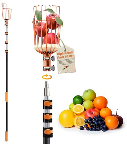 Obstpflückerstange mit Korb, ausziehbar, 1,5–3,6 m, Apfelpflücker-Verlängerungsstange // Teleskop-Obstbaumpflücker-Werkzeug zum Pflücken von Orange, Mango, Avocado, Zitrone, Birne // Der ultimative
