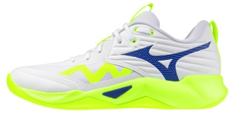 Mizuno Wave Momentum Pro Inomhusskor för män