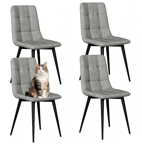 YLGJ&TIDY Esszimmerstühle 4er Set, Samt Esszimmer Stuhl, Dunkelgrau | Samtstühle mit Dicker Polsterung，Metallbeine, Stühle für Essbereich, Wohnzimmer und Schlafzimmer, bis 150 kg belastbar