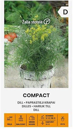 Zalia stotele | ANETH - COMPACT Graines | Graines de Légumes | Aneth Graines | Graines de Plantes | Graines de Jardin | 1 Paquet